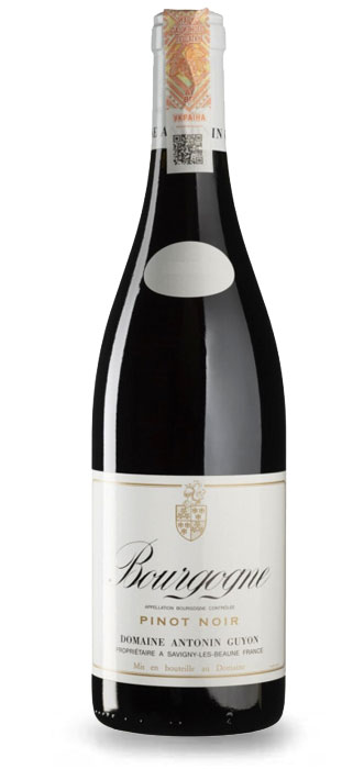 Antonin Guyon Bourgogne Pinot Noir