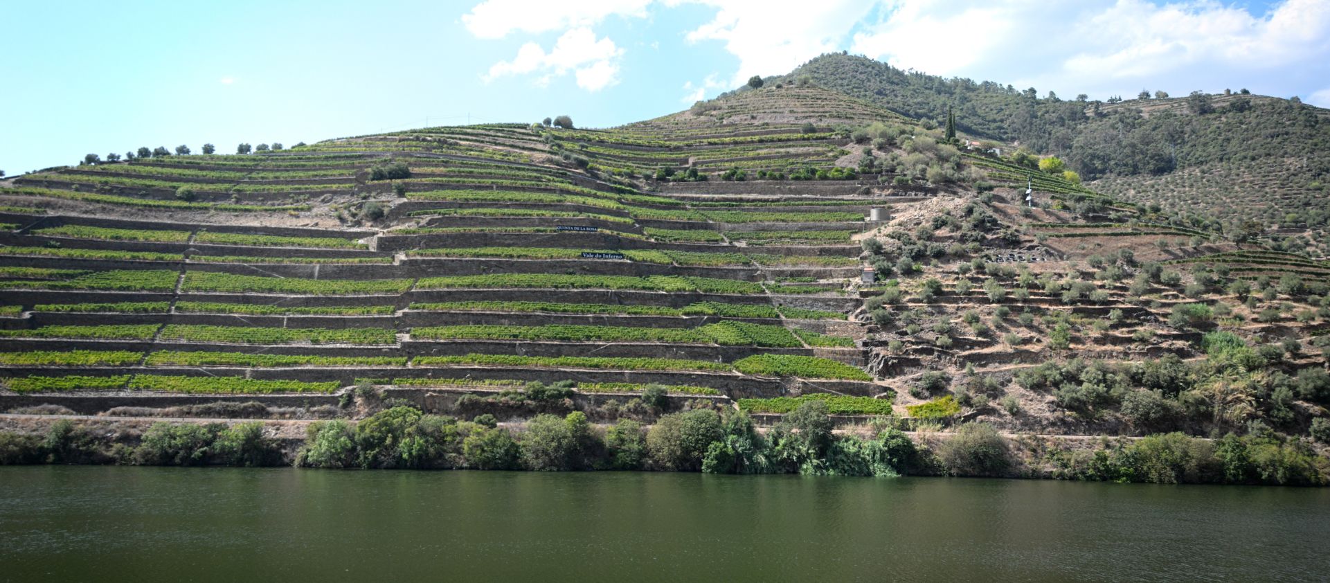 Quin vi de Ribera de Duero regalar per sorprendre?